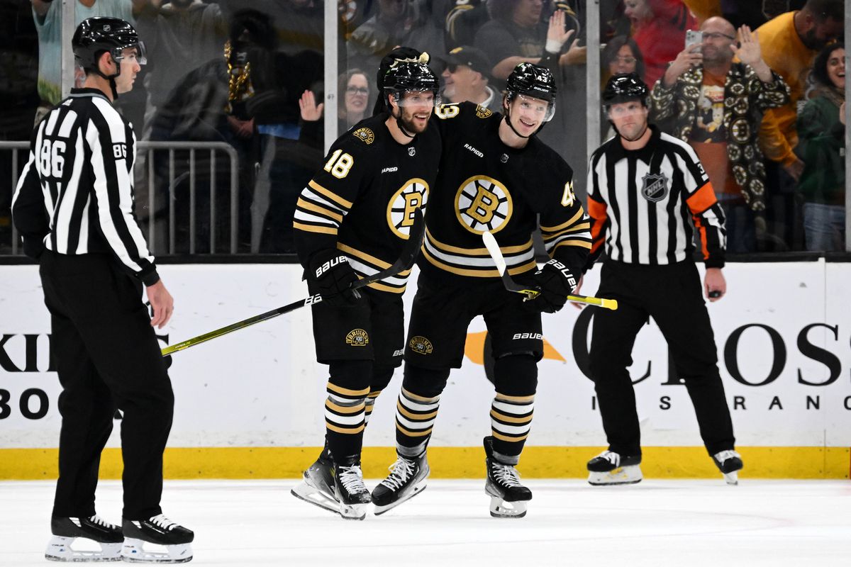 NHL: Florida Panthers at Boston Bruins