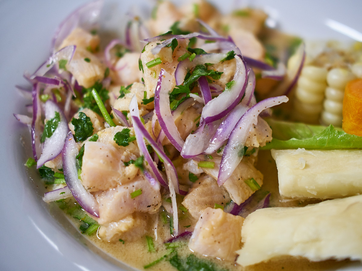 Close-up of ceviche topped with onion slices and cilantro.