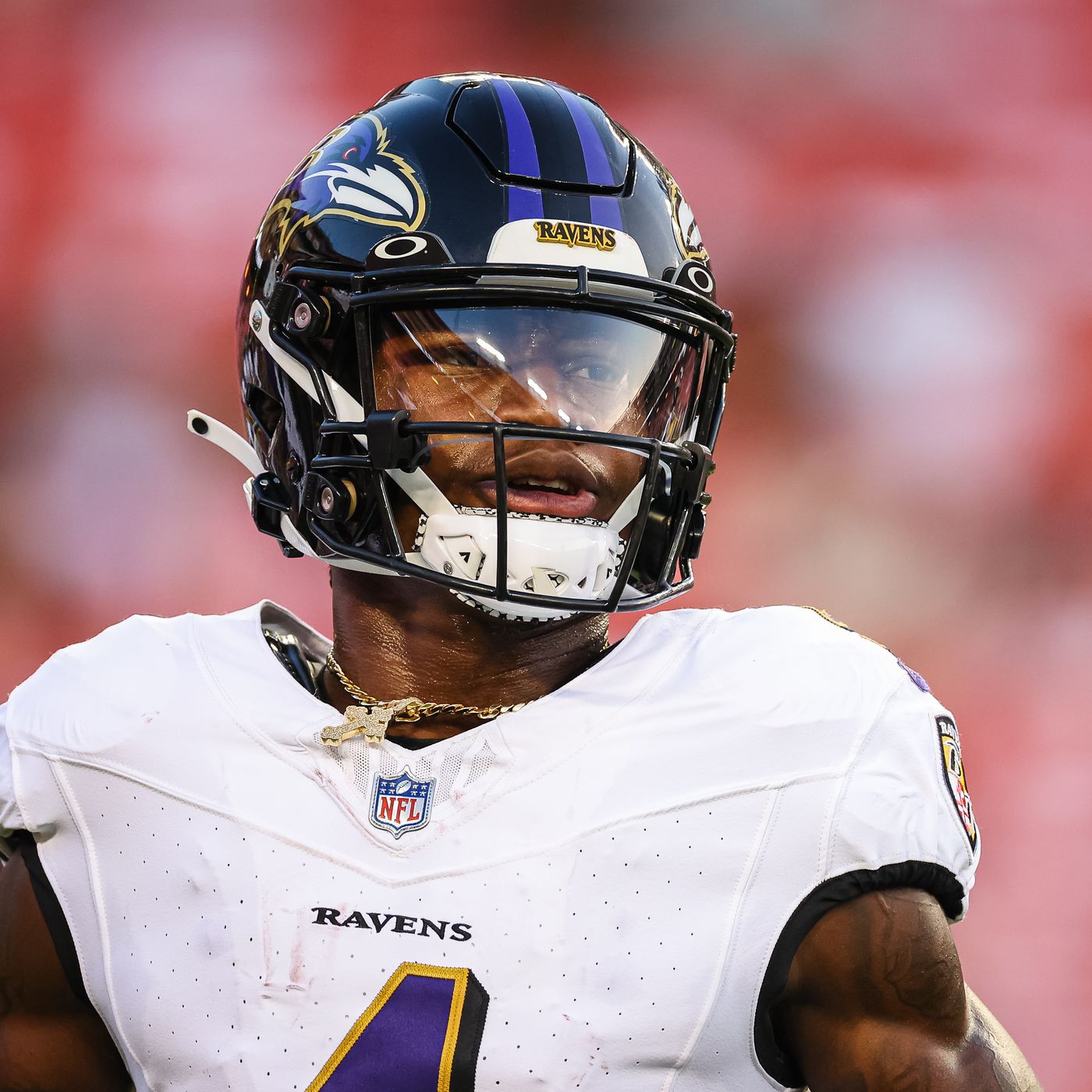 In the media: Malik Hamm'23 makes Baltimore Ravens' roster · News ·  Lafayette College