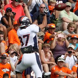 Broncos WR Eric Decker reaches for a completion in front of the fans