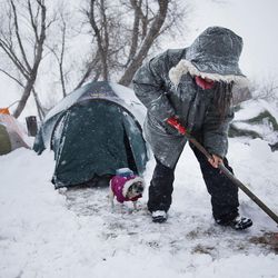 In this Tuesday, Nov. 29, 2016 photo, Loretta Reddog, of Placerville, Calif., shovels a walkway to her tent while followed by her dog Gurdee Bean at the Oceti Sakowin camp where people have gathered to protest the Dakota Access oil pipeline in Cannon Ball, N.D. "I'm scared. I'm a California girl, you know?" said Reddog who arrived several months ago with her two dogs and has yet to adjust to the harsher climate. Reddog has confidence in the camp community. "Everybody's really stepping up and taking care of each other," she said. 