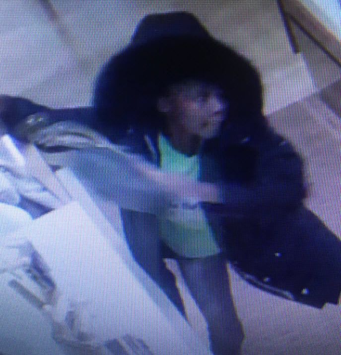 Group wanted for stealing purses at Northbrook Court mall: police - Chicago Sun-Times