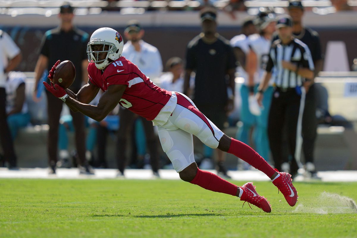 Arizona Cardinals wide receiver A.J. Green (18) catches a pass from quarterback Kyler Murray (not pictured) during the second half against the Jacksonville Jaguars at TIAA Bank Field.