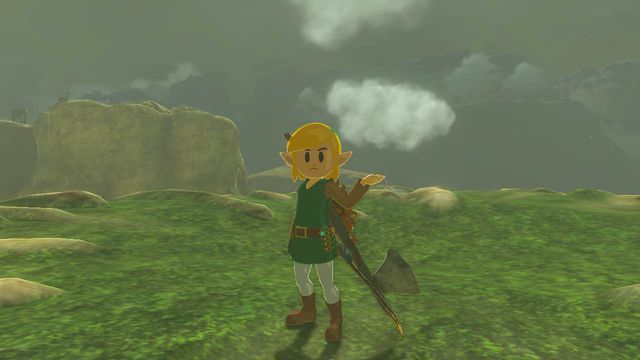Link wears the Awakening Armor in a field in Zelda Tears of the Kingdom.