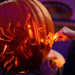 lobster pumpkin carving in action!