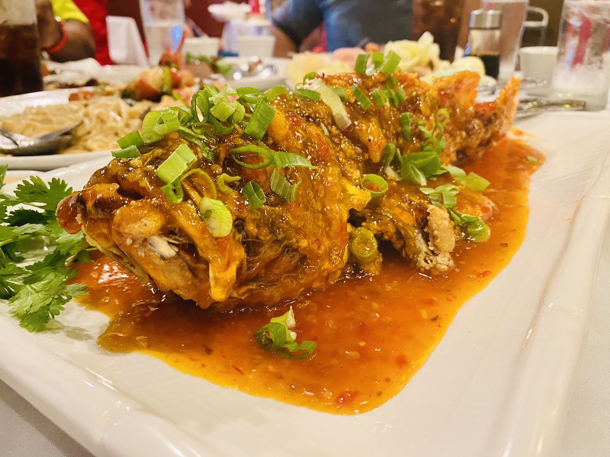 Chinese Rock Cod Fish at Jasmine Seafood Restaurant &amp; Express