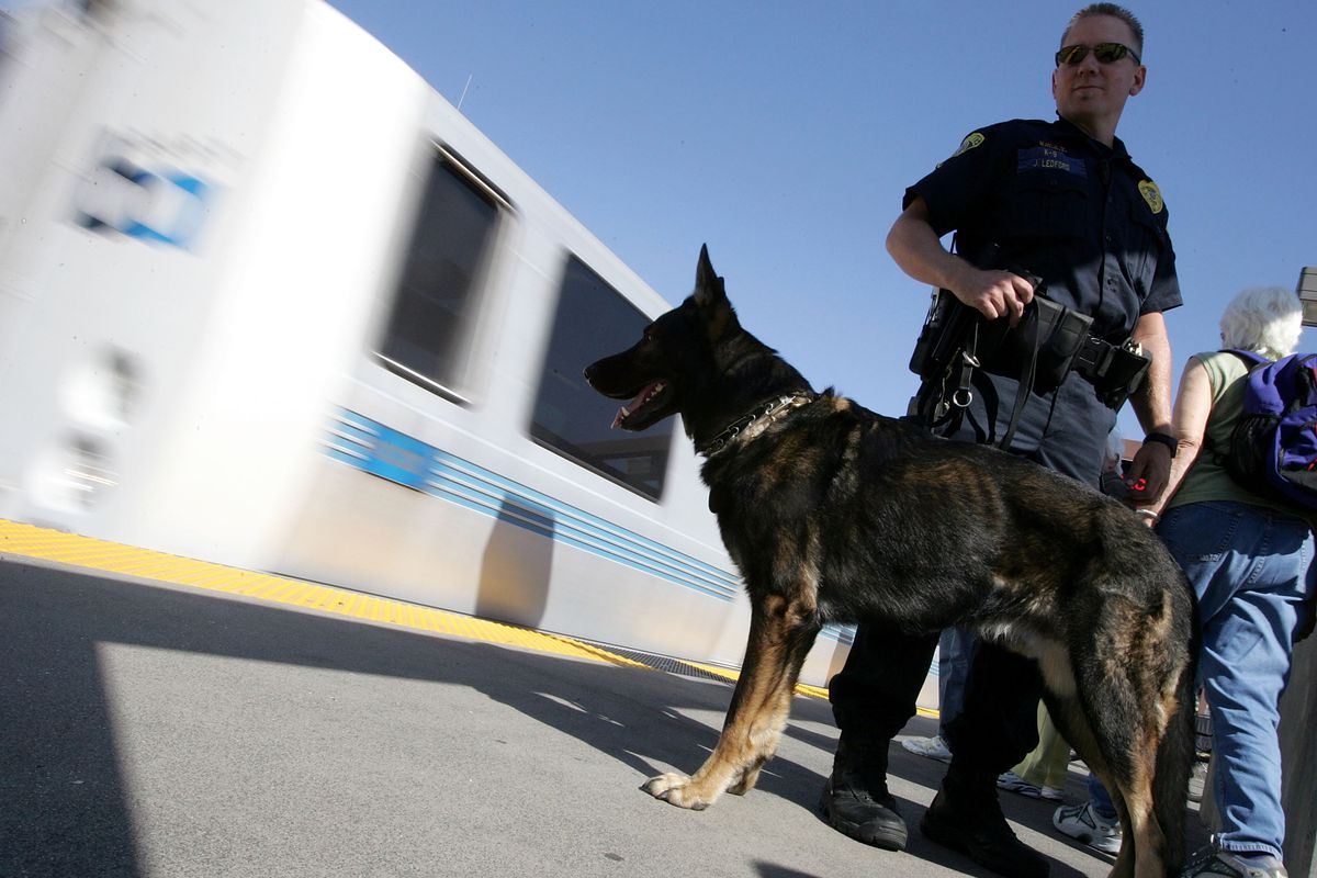 A BART cop with a dog on a platform as a train screeches by behind them.