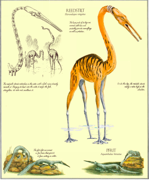 This book imagines what animals might look like if humans went extinct -  The Verge