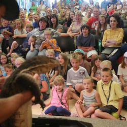 Audience members react as Shane Richins of Scales and Tails Utah pulls out his Asian water monitor during his show Wednesday, June 5, 2013, during Heber Unplugged at the Wasatch County Library.