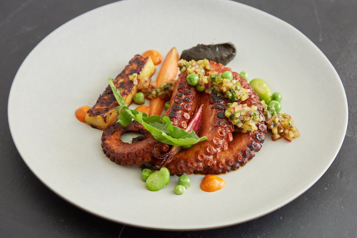 A plate of octopus from incoming 14th Street NW restaurant Maiz 64.