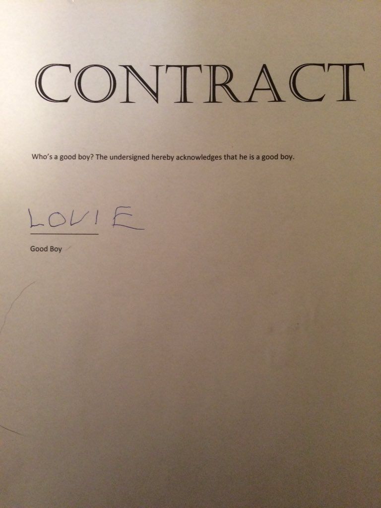 Louie Contract Signed