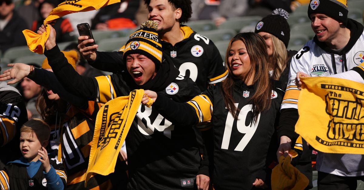 Steelers fan confidence reaches a near season low after Week 12 loss - Behind the Steel Curtain