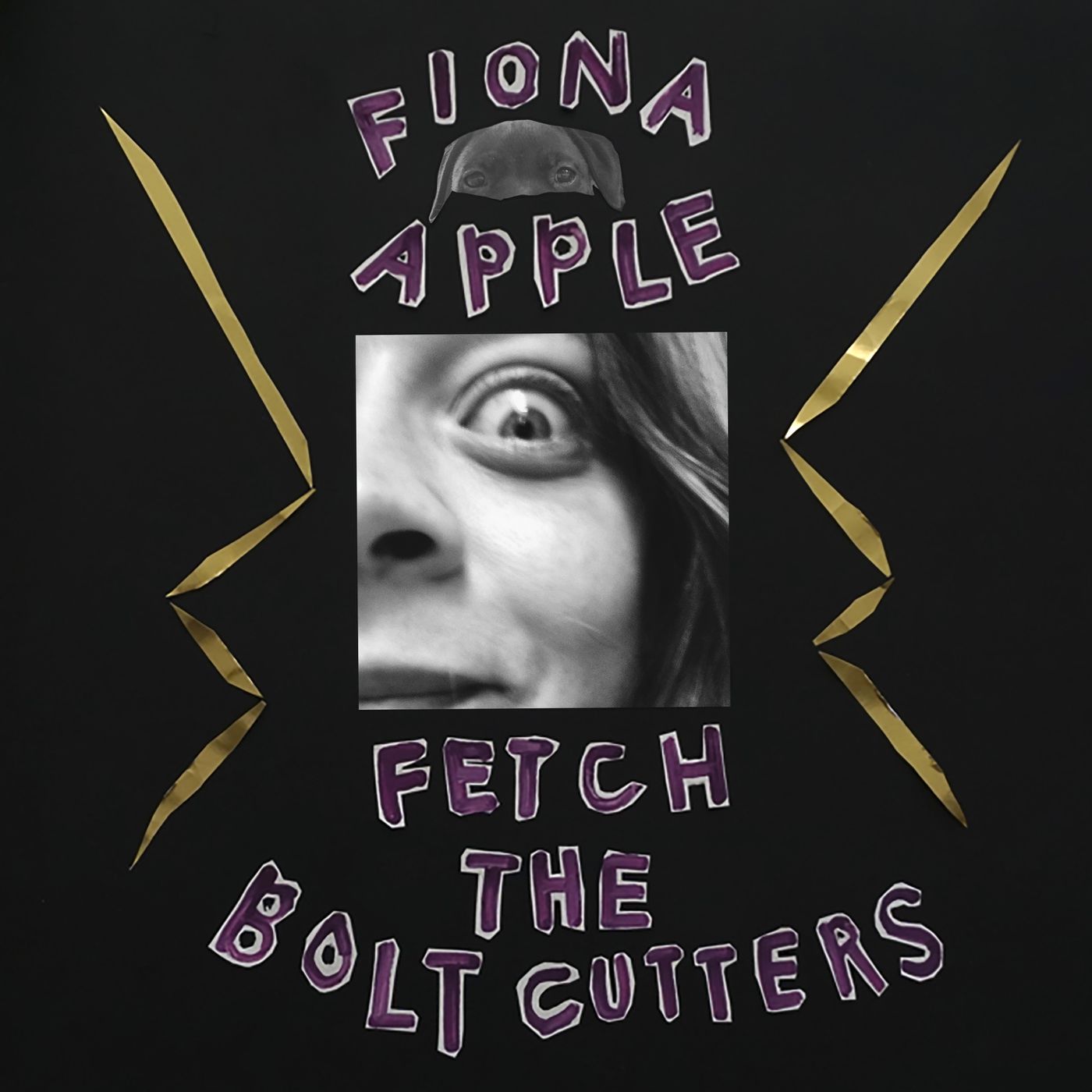 Fiona Apple album review: Fetch the Bolt Cutters sounds like 2020 feels -  Vox