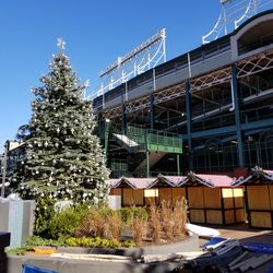 Wrigley Christmas tree and Christkindlmarket