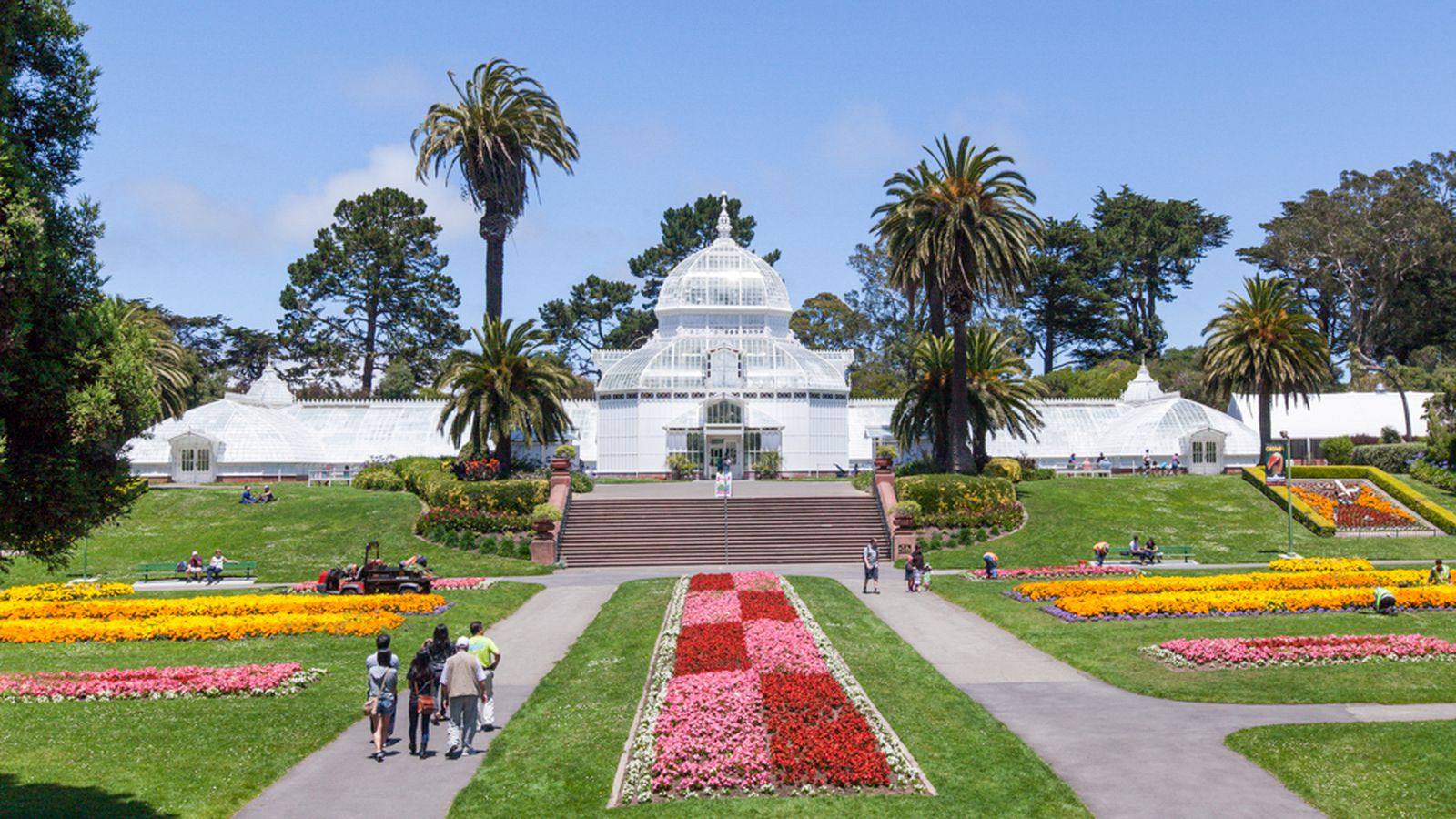 Inside Golden Gate Park's Stunning Conservatory of Flowers - Curbed SF