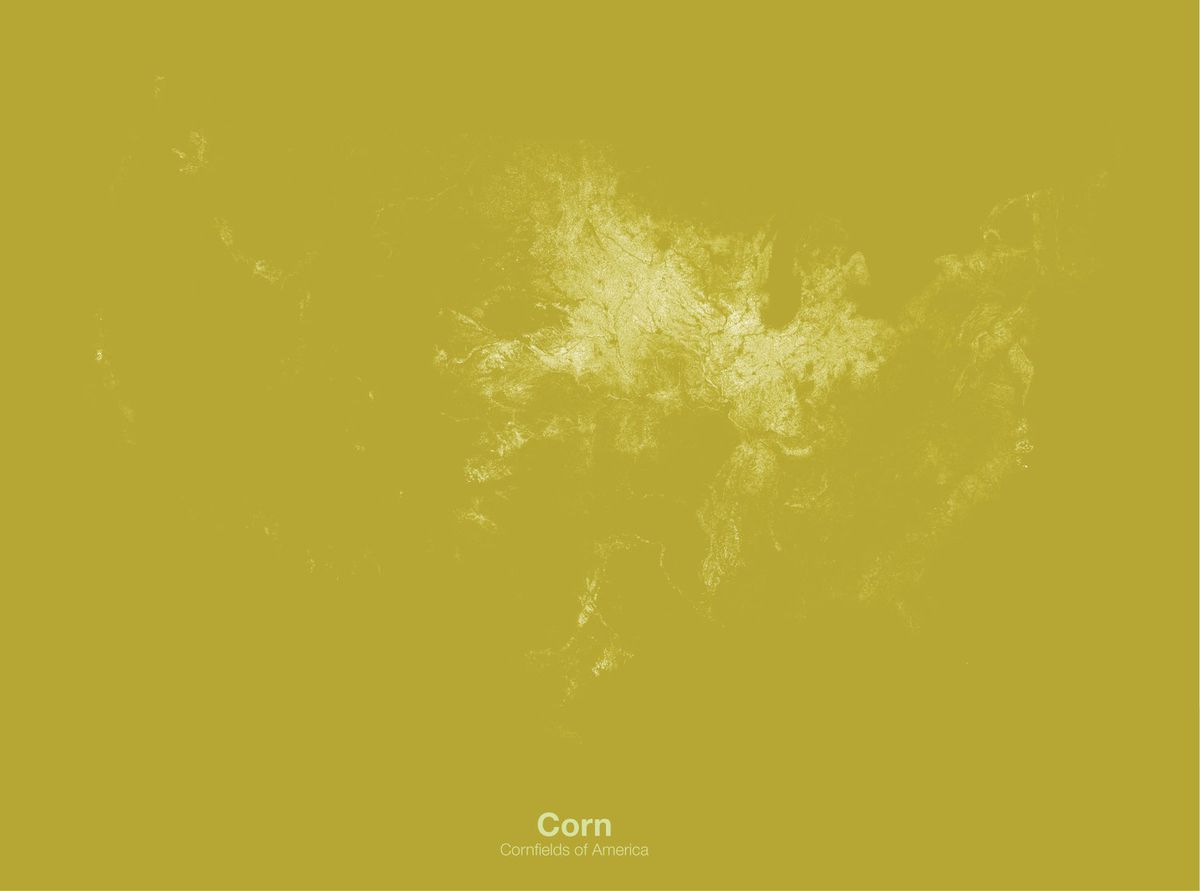 corn map