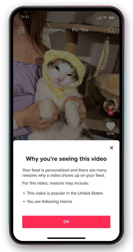A TikTok screenshot showing the app’s new “why this video” tool.