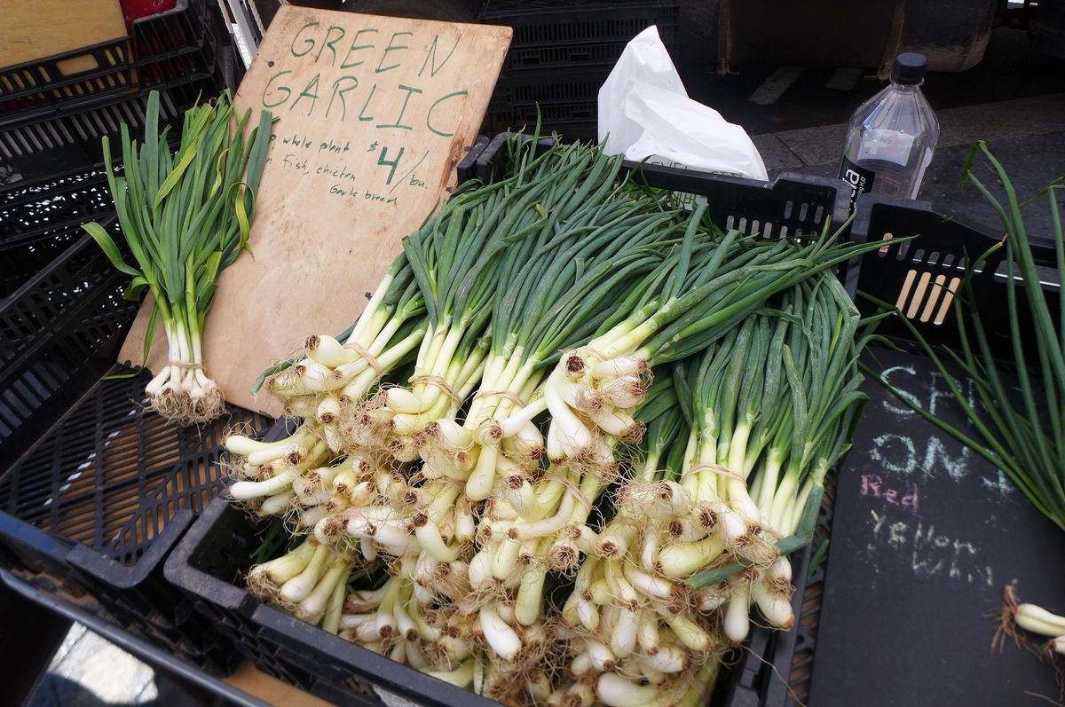 green garlic shoots, like scallions.