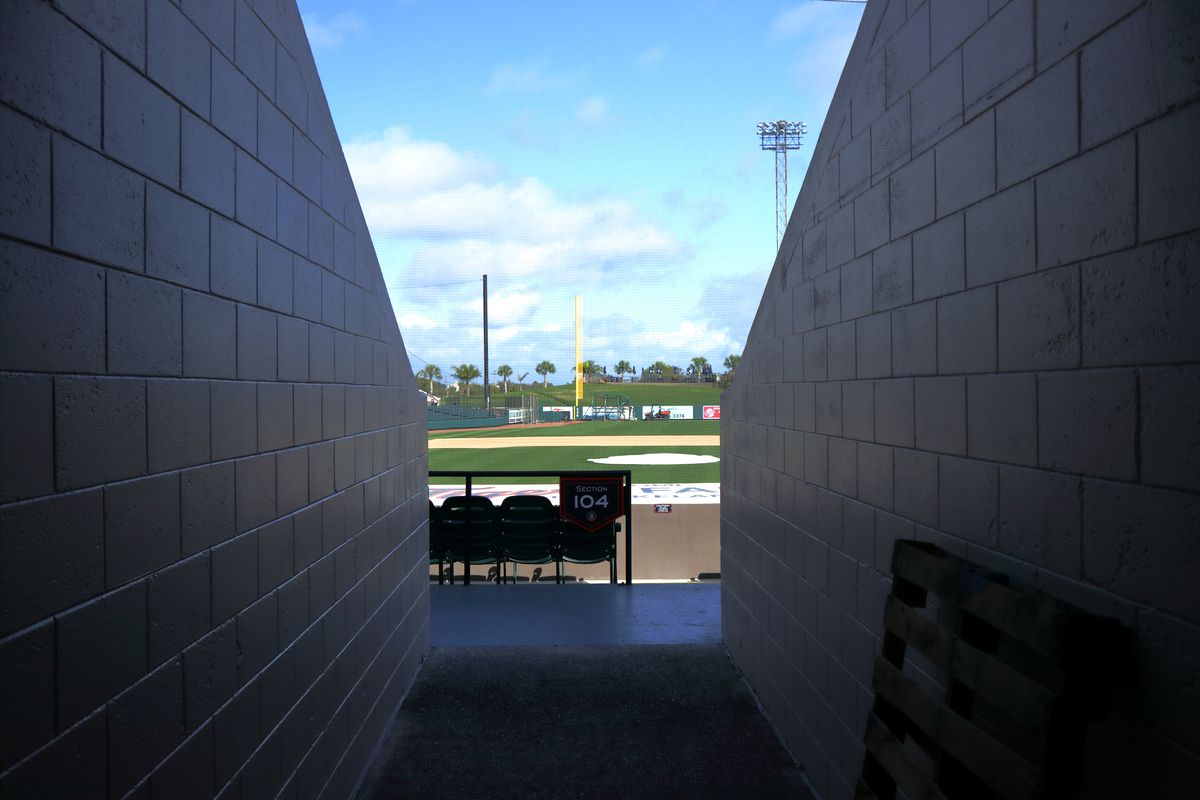 A view from the cool shade of the tunnel out into the warmth of the spring baseball field. 