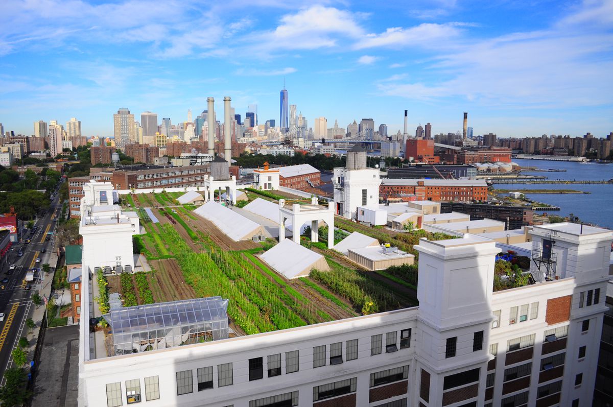 An aerial view of a rooftop farm in new york city 