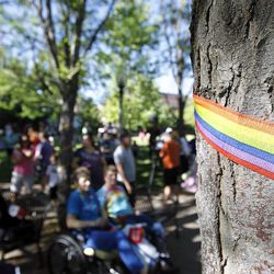 A tree is adorned with a rainbow-colored ribbon during a rally celebrating the Supreme Court's decision to legalize same-sex marriage at City Creek park in Salt Lake City on Friday, June 26, 2015.