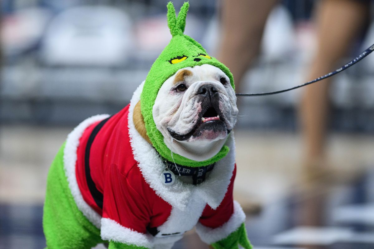 Butler Bulldogs mascot Blue dressed the the Grinch for Christmas during the men’s college basketball game between the Butler Bulldogs and UConn Huskies on December 17, 2022, at Hinkle Fieldhouse in Indianapolis, IN.