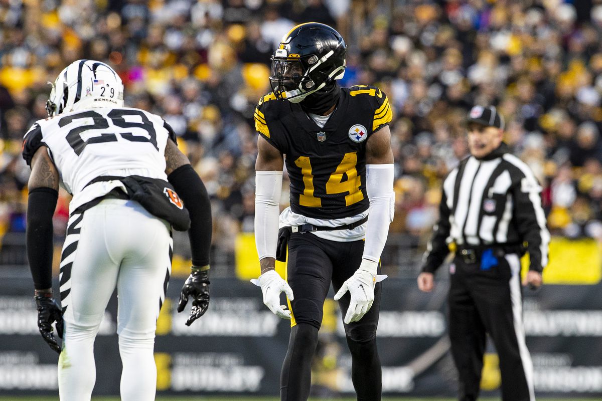 NFL: NOV 20 Bengals at Steelers