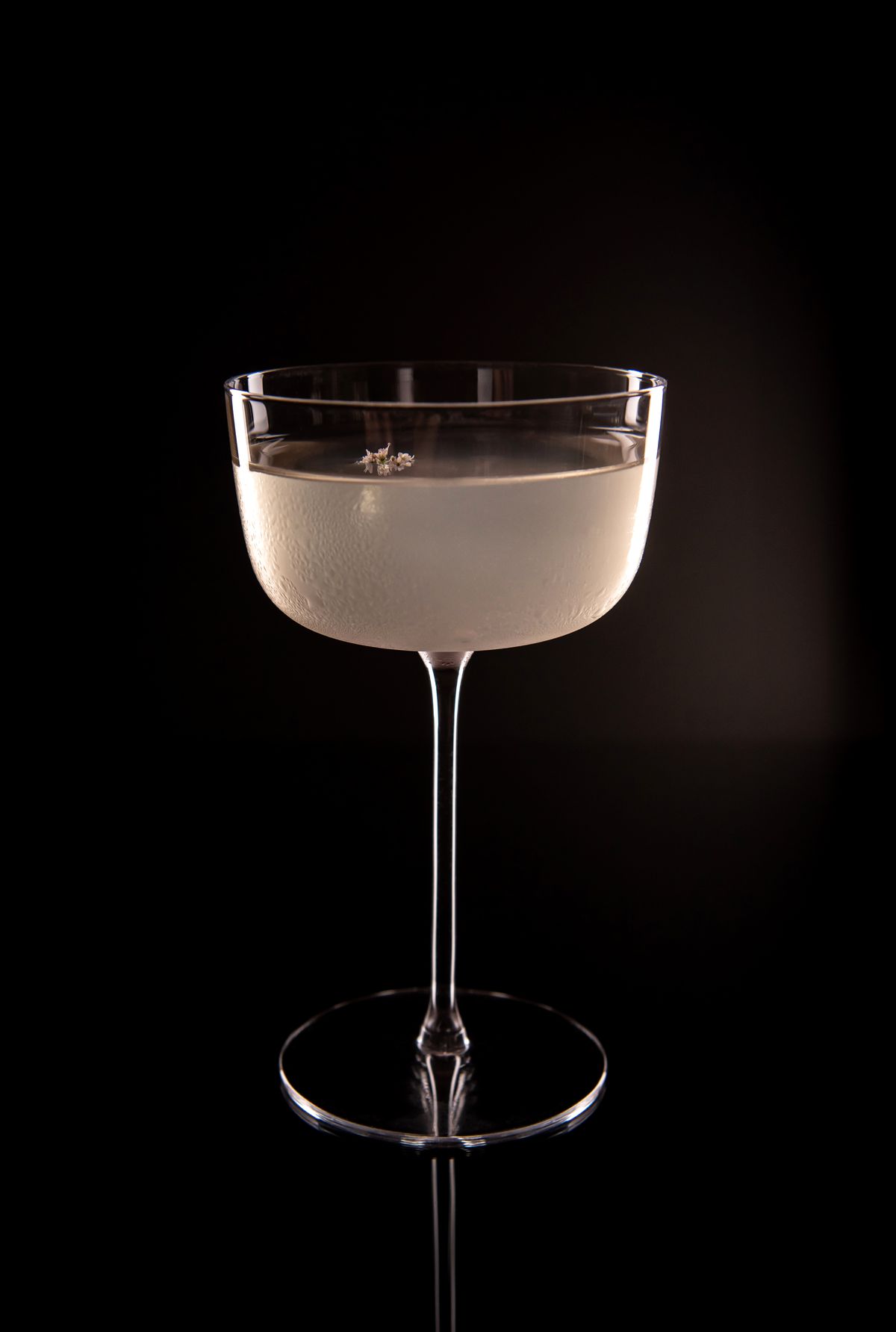 A tall, long-stemmed cocktail glass filled with a clear liquid.