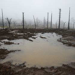 Rain water pools where a Fountaingrove neighborhood home once stood Monday, Jan. 8, 2018, in Santa Rosa, Calif. Storms brought rain to California on Monday and increased the risk of mudslides in fire-ravaged communities in devastated northern wine country and authorities to order evacuations farther south for towns below hillsides burned by the state's largest-ever wildfire. (AP Photo/Eric Risberg)