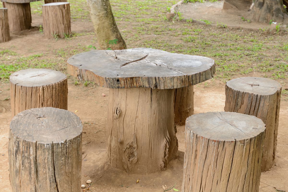 Tree stump table