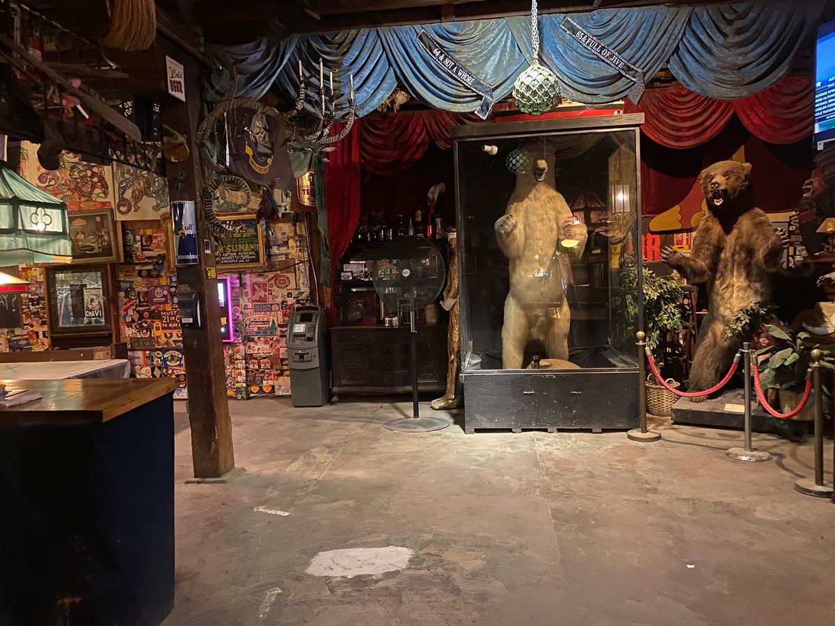 A stuffed polar bear standing upright in a clear display case is one of the oddities at Port Costa’s Warehouse Cafe.