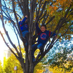 More kids in trees