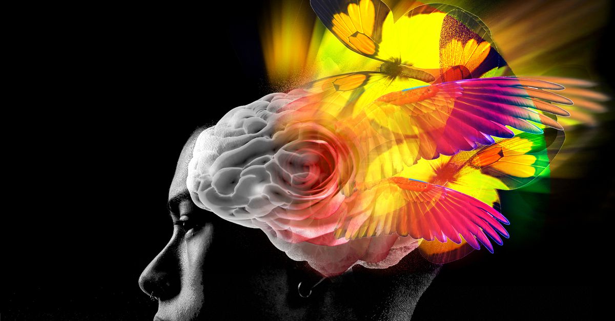 The extraordinary therapeutic potential of psychedelic drugs, explained