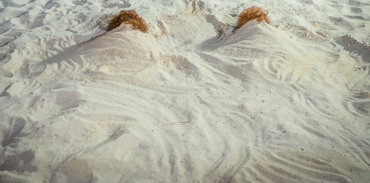 two permed hairdos stick out from the sand