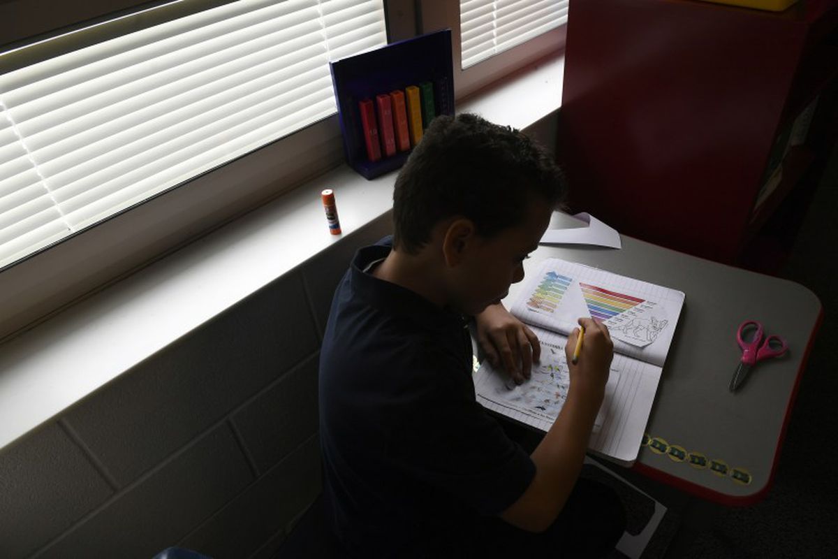 Denver Language School student Xavier Templeton, 10, learns about the five animal kingdoms.