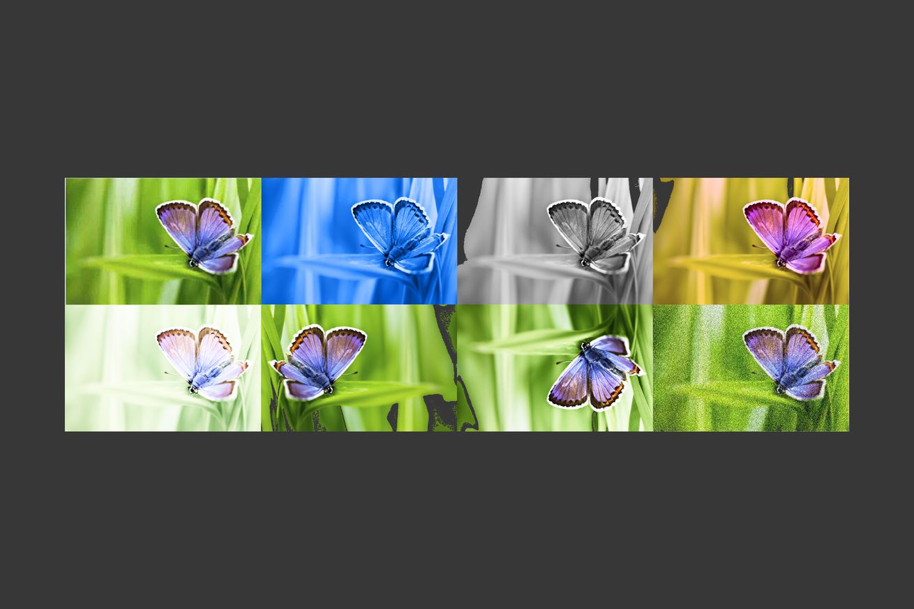 Eight differently filtered photos of butterflies.
