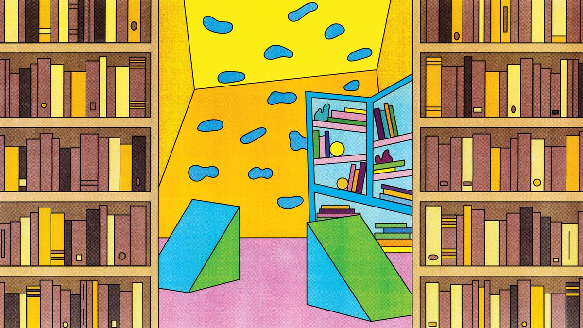 Two brown library bookcases frame a colorful scene of funky geometric kid’s shelves and climbing structures. Illustration.