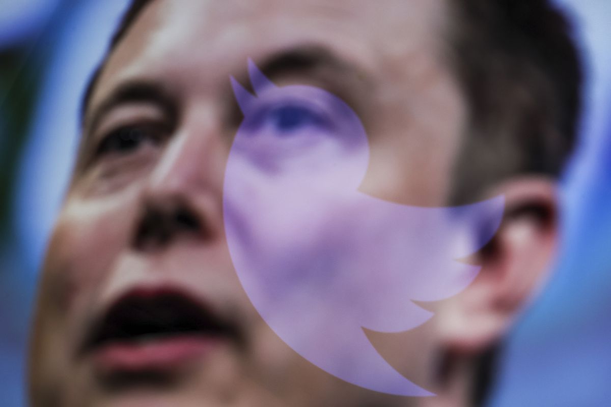 Elon Musk’s face with a Twitter bird logo superimposed on it.