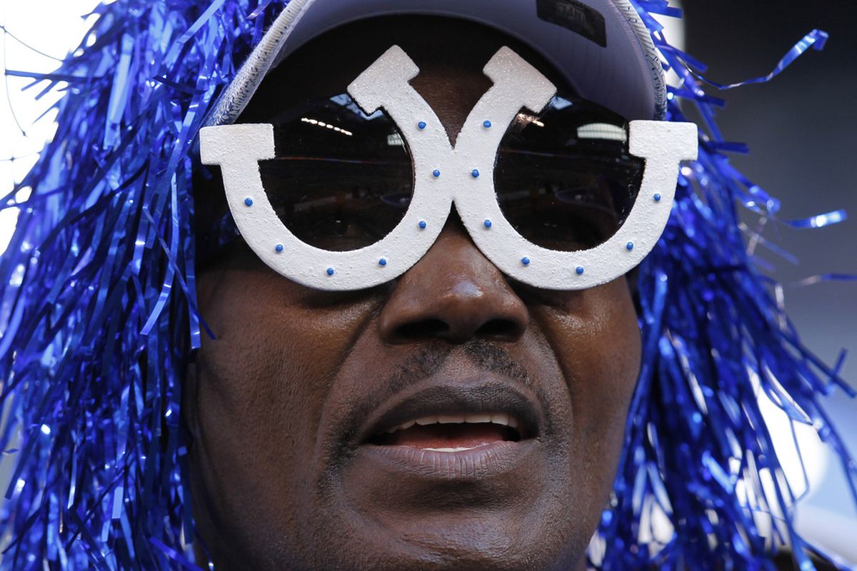 INDIANAPOLIS, IN - NOVEMBER 6: Indianapolis Colts fan looks on during the game against the Atlanta Falcons at Lucas Oil Stadium on November 6, 2011 in Indianapolis, Indiana. The Falcons defeated the Colts 31-7. (Photo by Joe Robbins/Getty Images)