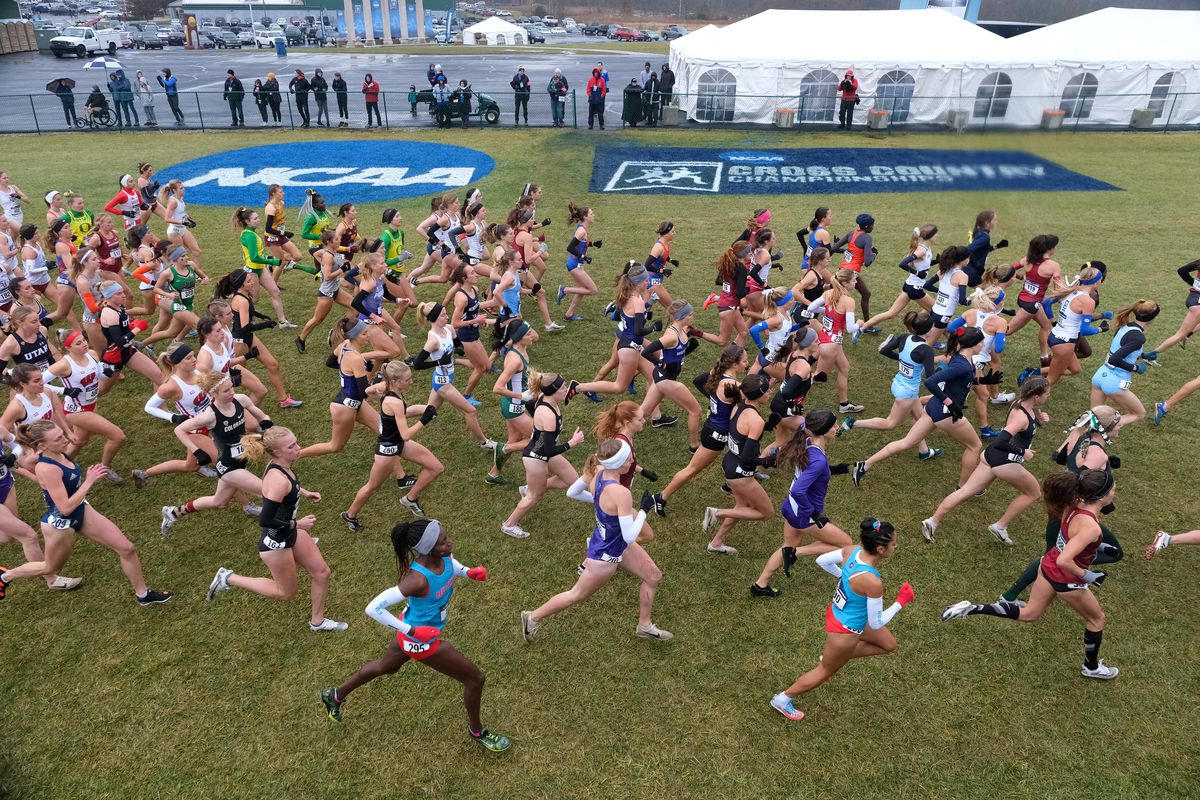 2019 NCAA Division I Men’s and Women’s Cross Country Championship
