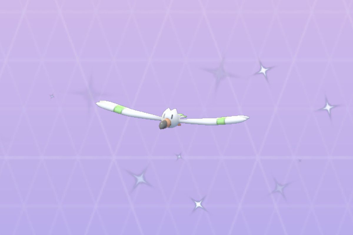 Pokémon Go Spotlight Hour: Can Wingull be Shiny?