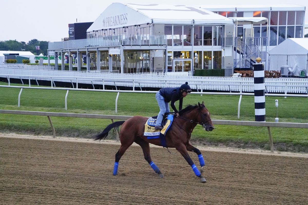 Preakness Stakes contender National Treasure trains Wednesday morning at Pimlico Race Track.