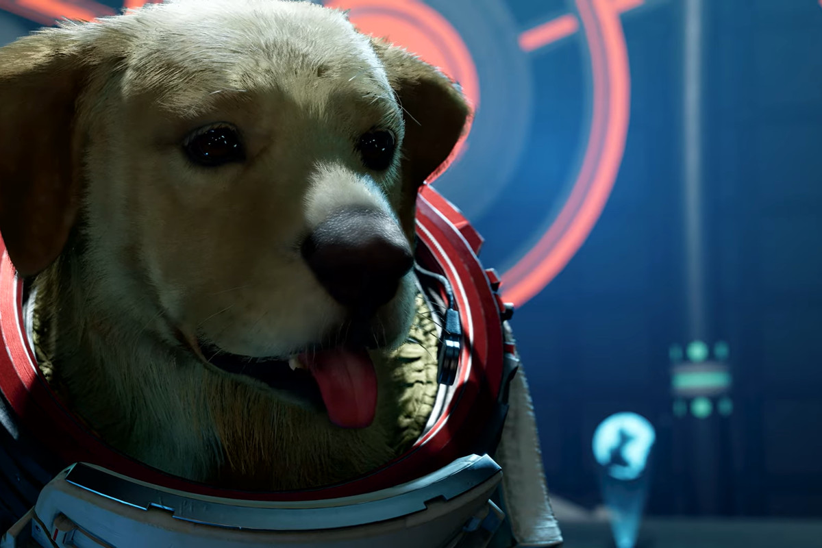 a dog wearing a space suit