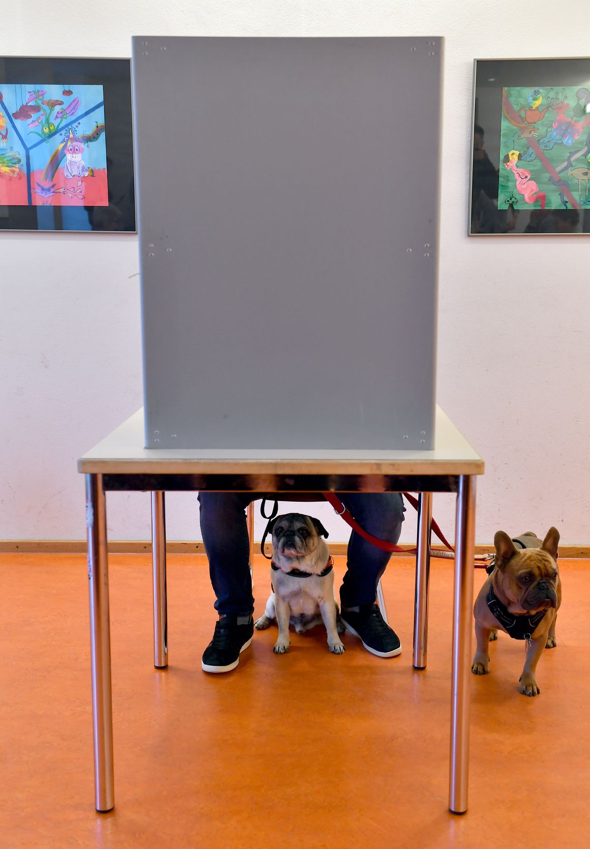 State parliamentary elections in Thuringia - Voting