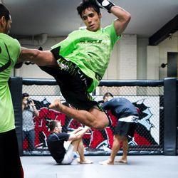 UFC 131 Open Workouts