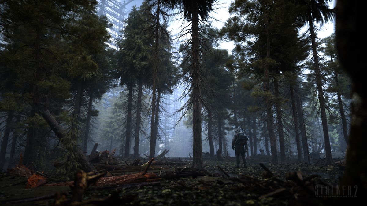 A character stands in a dense forest from STALKER 2