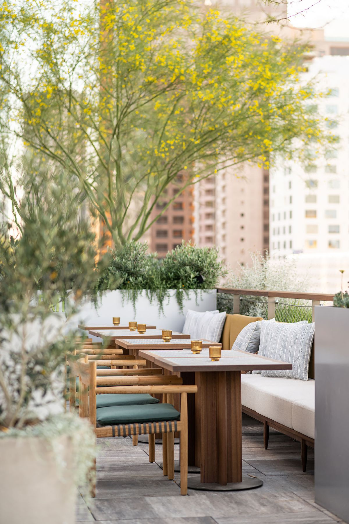 Desert plants and light tones touch off this new restaurant terrace.