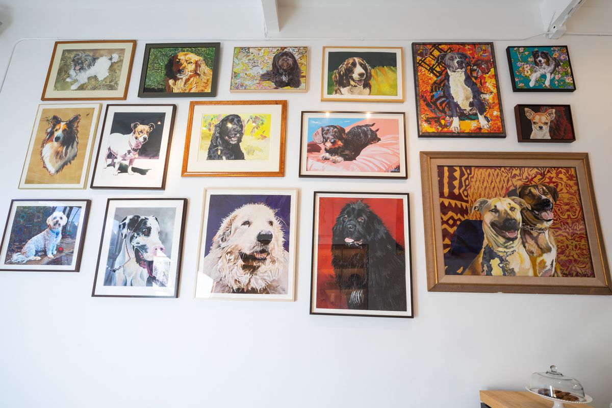 A gallery wall of dog portraits.