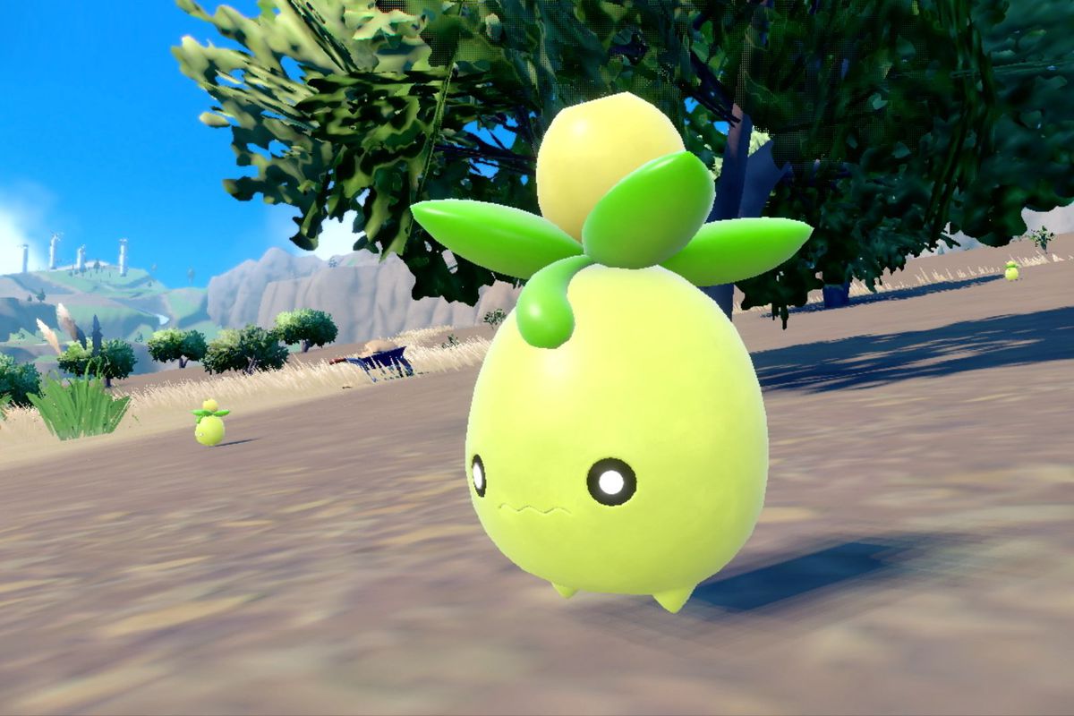 Smoliv in Pokémon Scarlet and Pokémon Violet — a little green Pokémon that looks like an olive with eyes and teeny tiny feetsies.