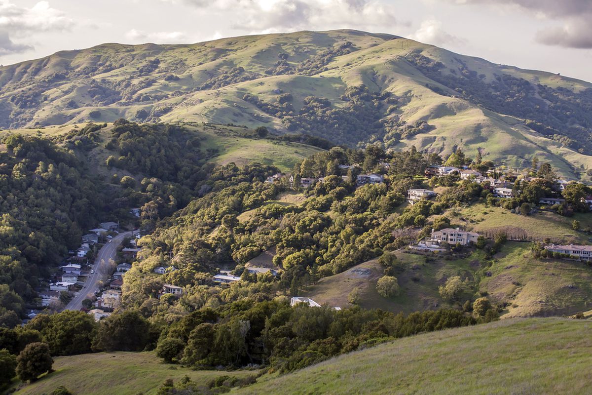 Houses in the Marin County hills.